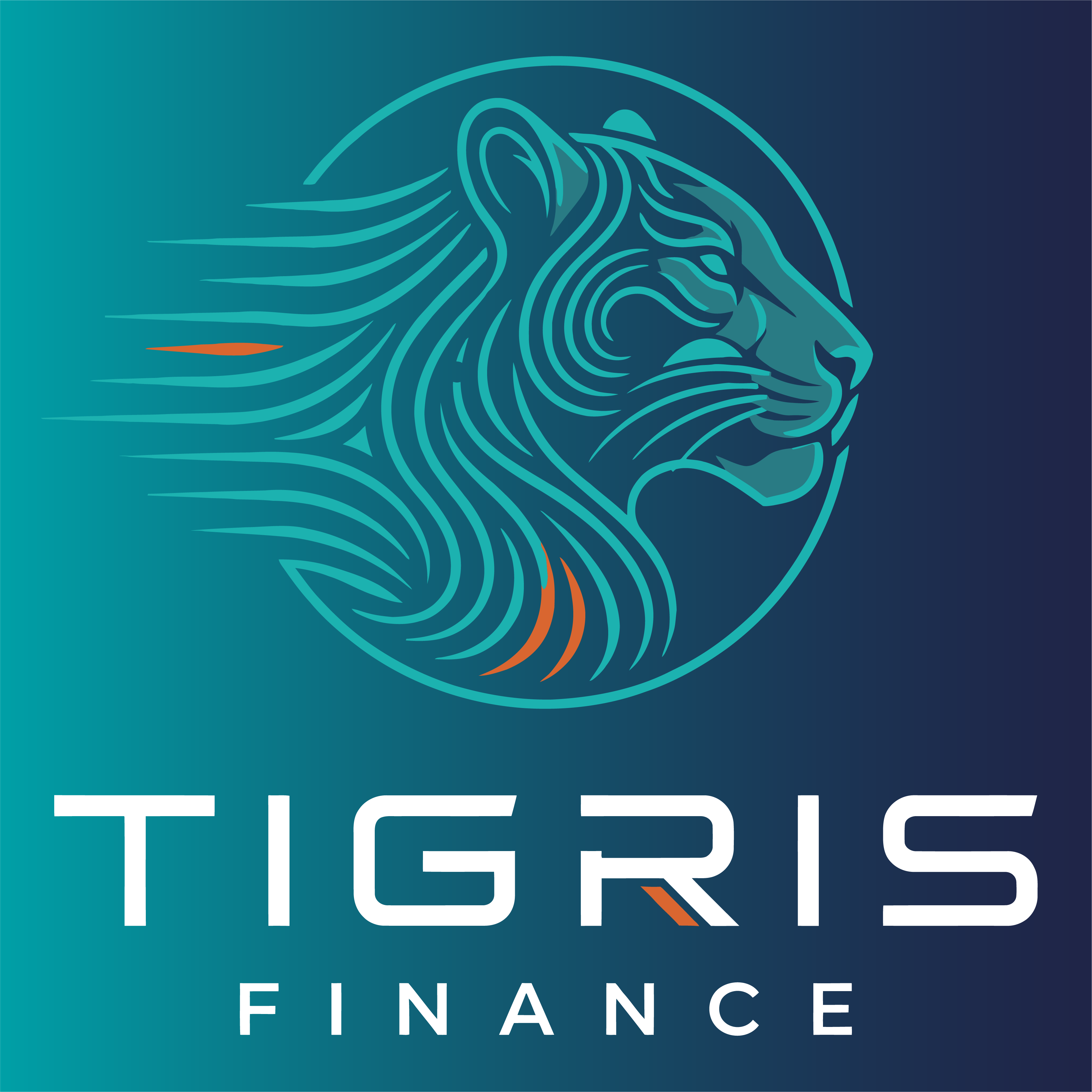 Tigris Finance