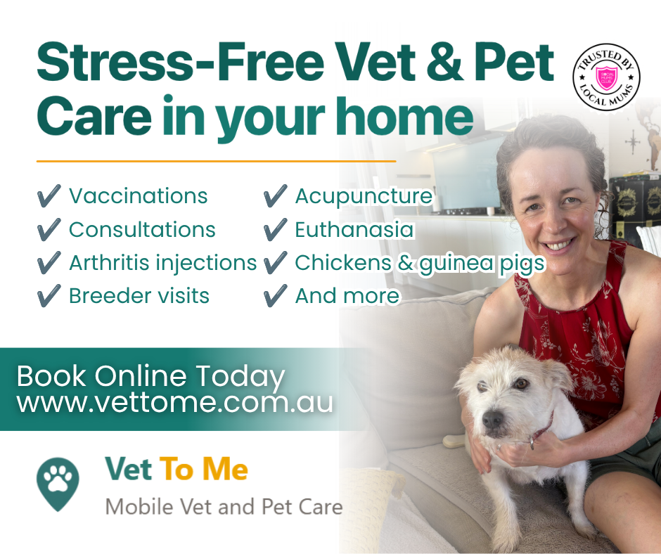 Vet to me